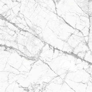 Invisible White